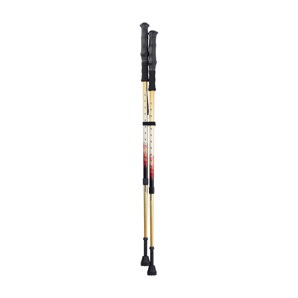 Drive Summit™ Walking Poles (Pair)