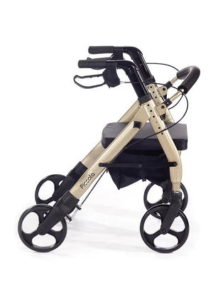 Comodita Piccola - Champagne